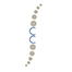 Logo Chiropractie Ceintuurbaan